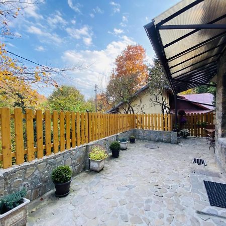 Apartment Carol Private Yard With Barbeque And Parking 시나이아 외부 사진