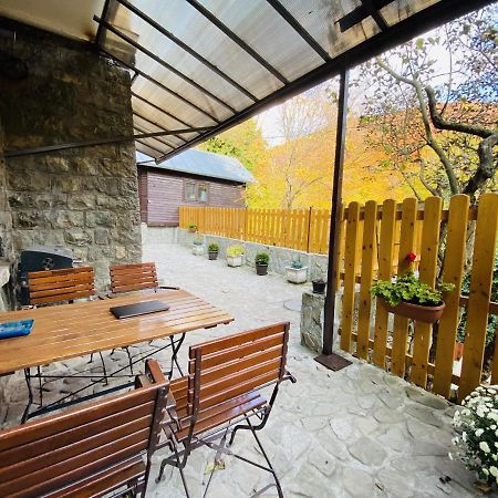Apartment Carol Private Yard With Barbeque And Parking 시나이아 외부 사진