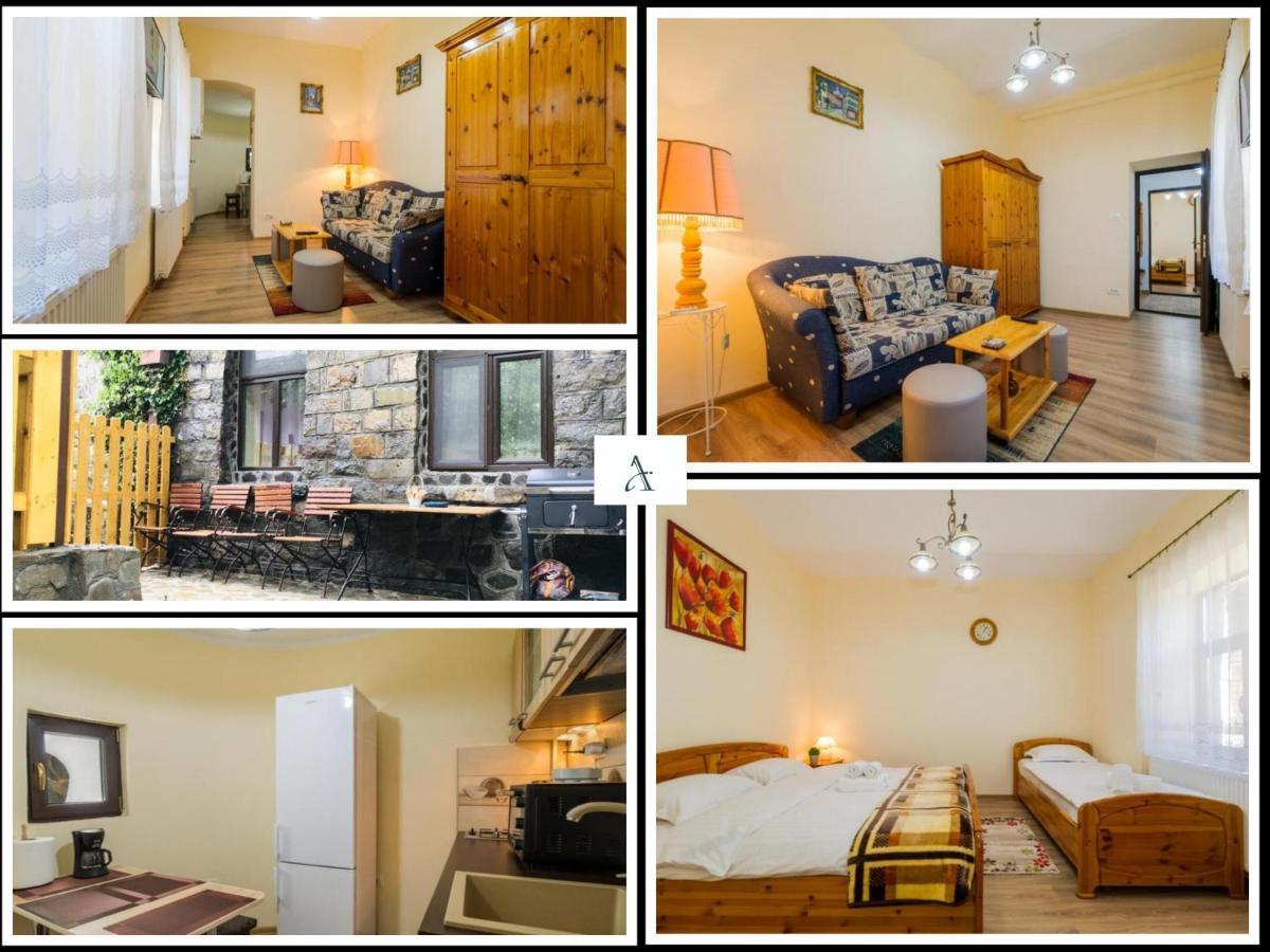 Apartment Carol Private Yard With Barbeque And Parking 시나이아 외부 사진