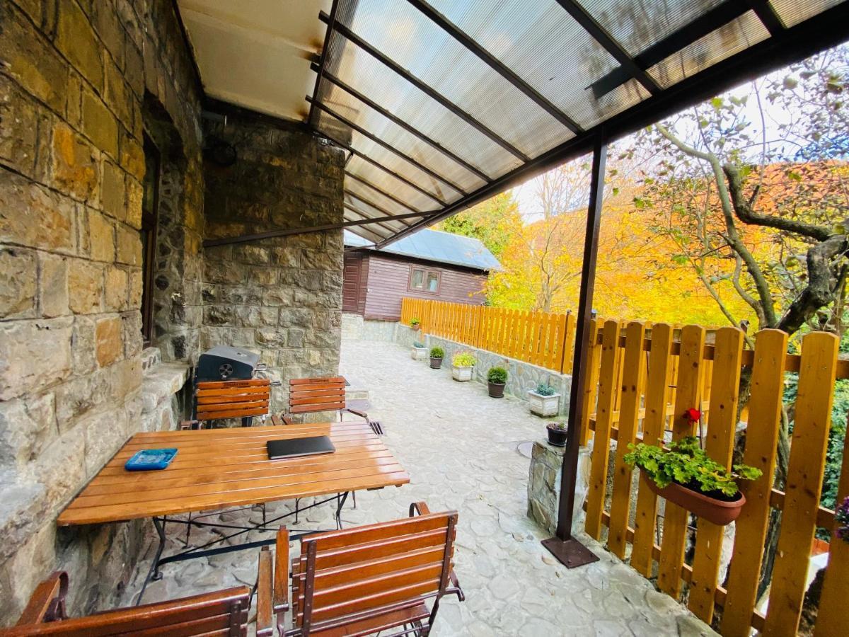 Apartment Carol Private Yard With Barbeque And Parking 시나이아 외부 사진