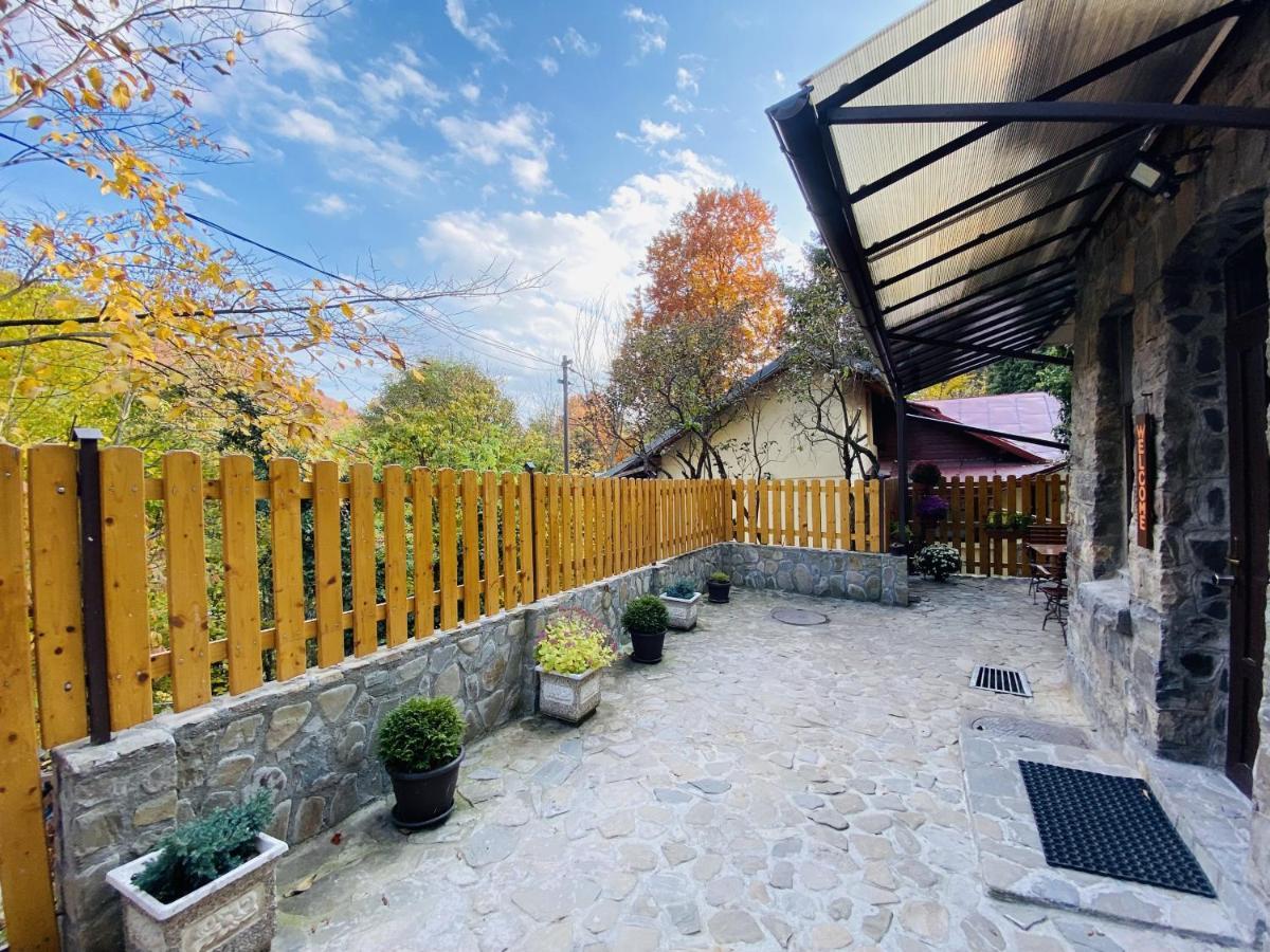Apartment Carol Private Yard With Barbeque And Parking 시나이아 외부 사진
