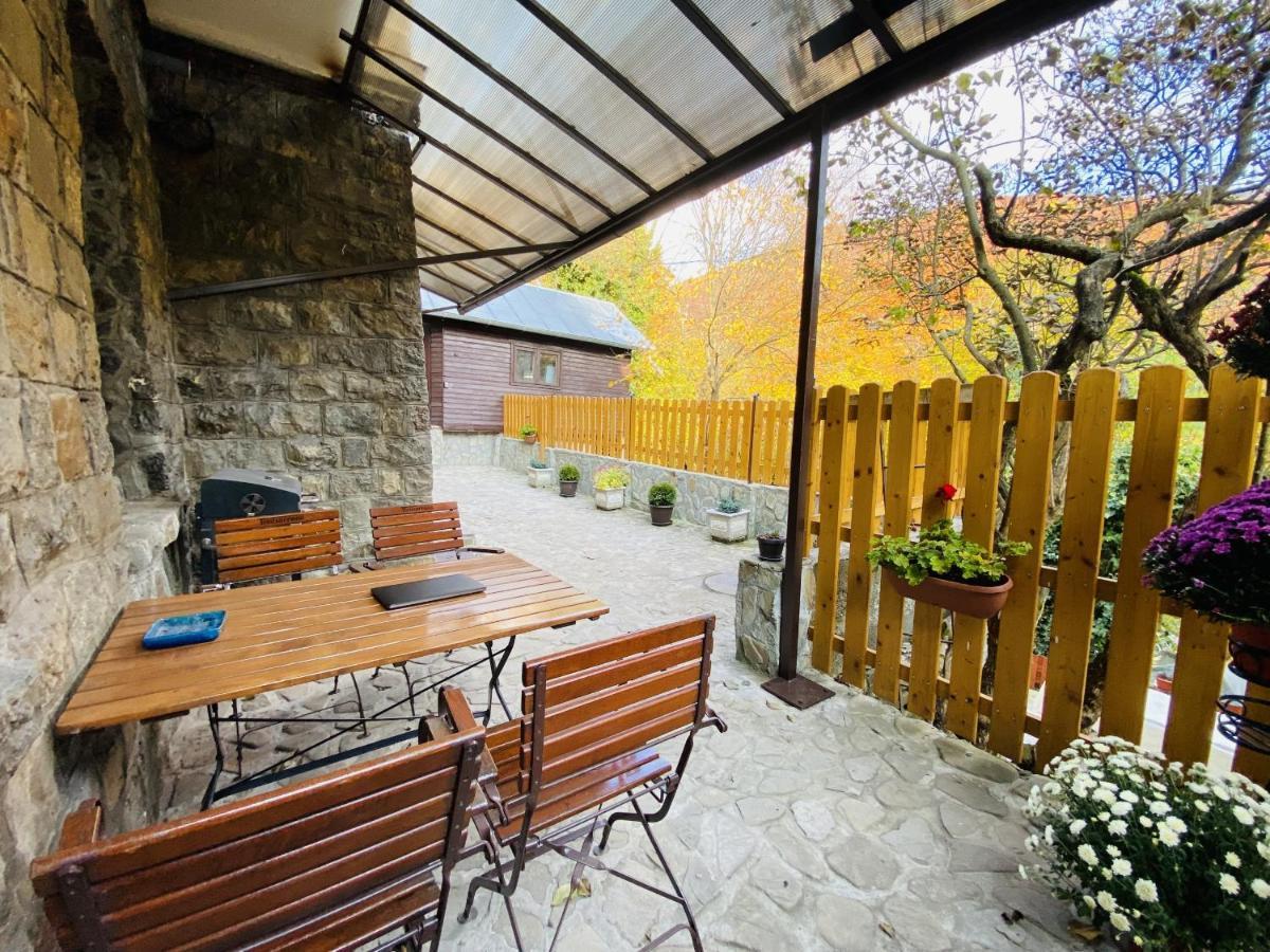 Apartment Carol Private Yard With Barbeque And Parking 시나이아 외부 사진