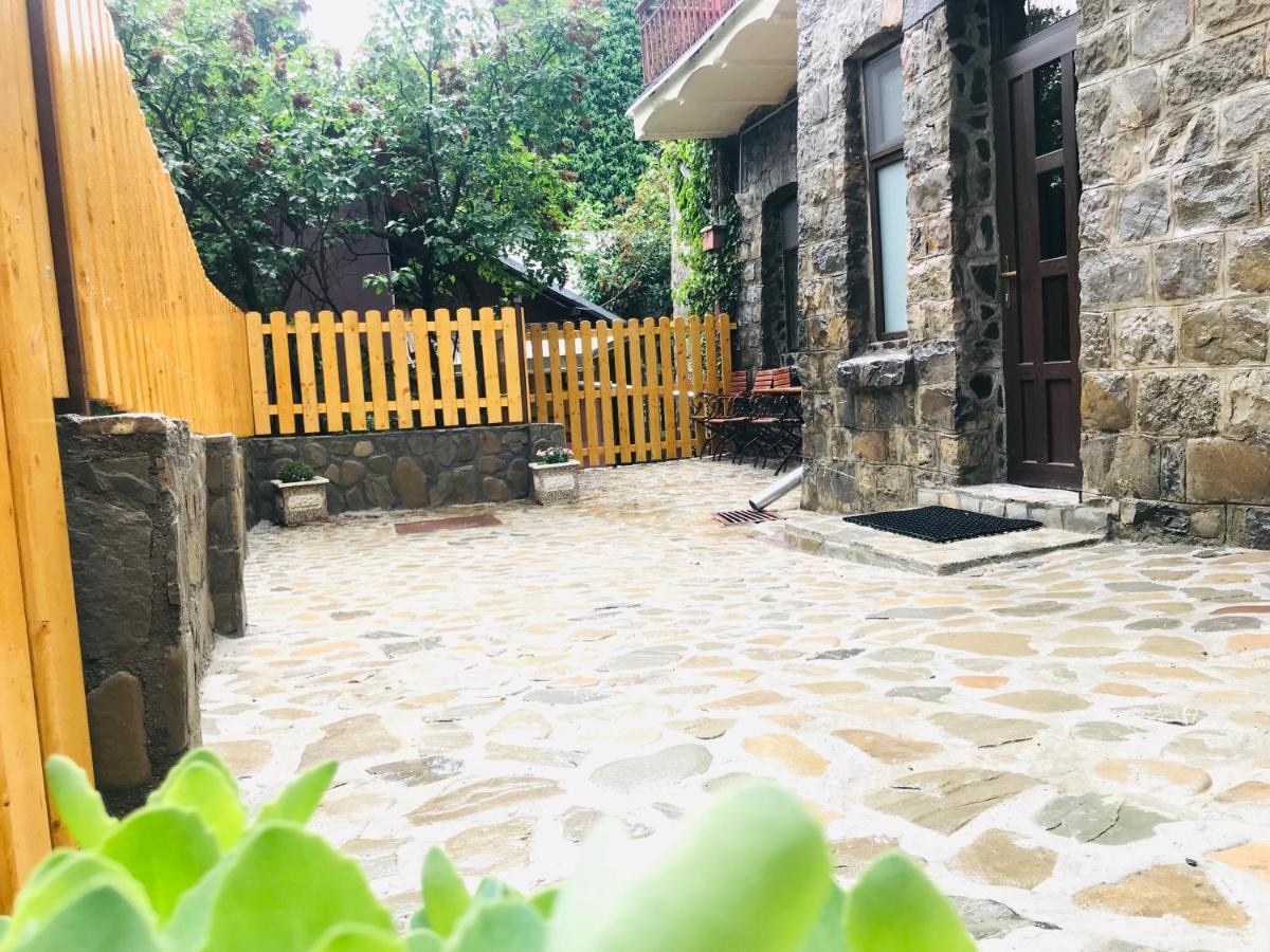 Apartment Carol Private Yard With Barbeque And Parking 시나이아 외부 사진