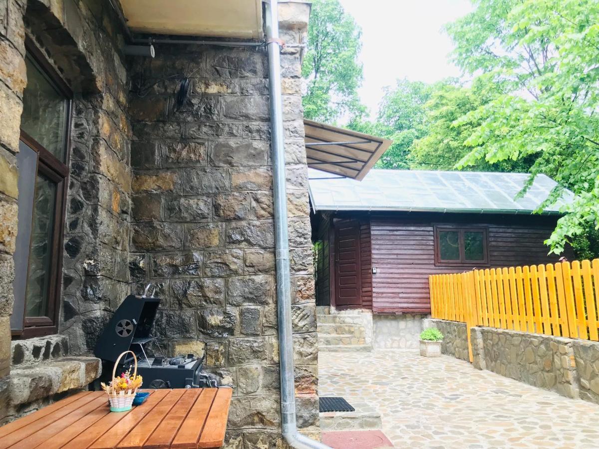 Apartment Carol Private Yard With Barbeque And Parking 시나이아 외부 사진